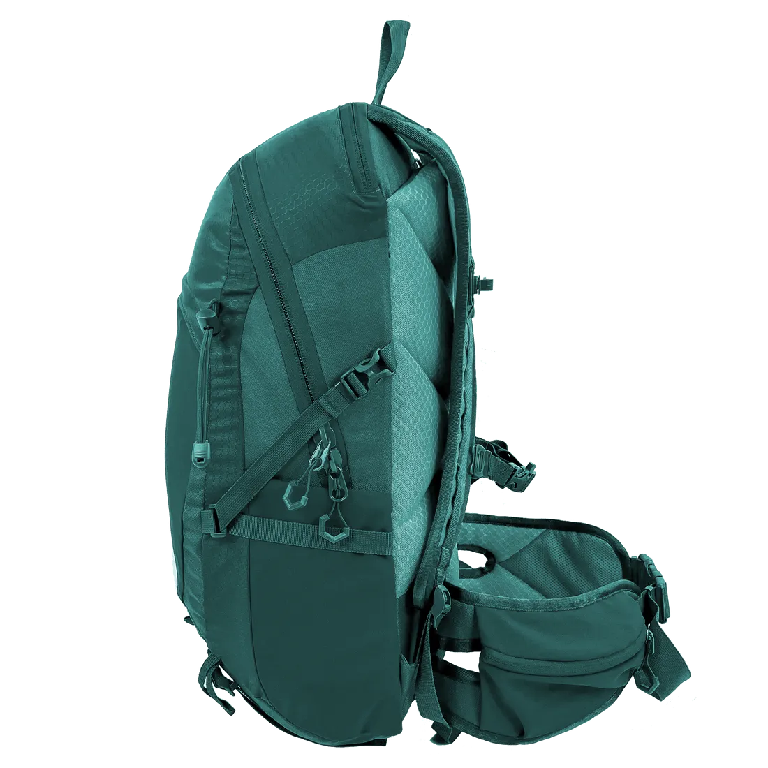 Black Wolf - Arakoon 30L Backpack - Quetzal Green