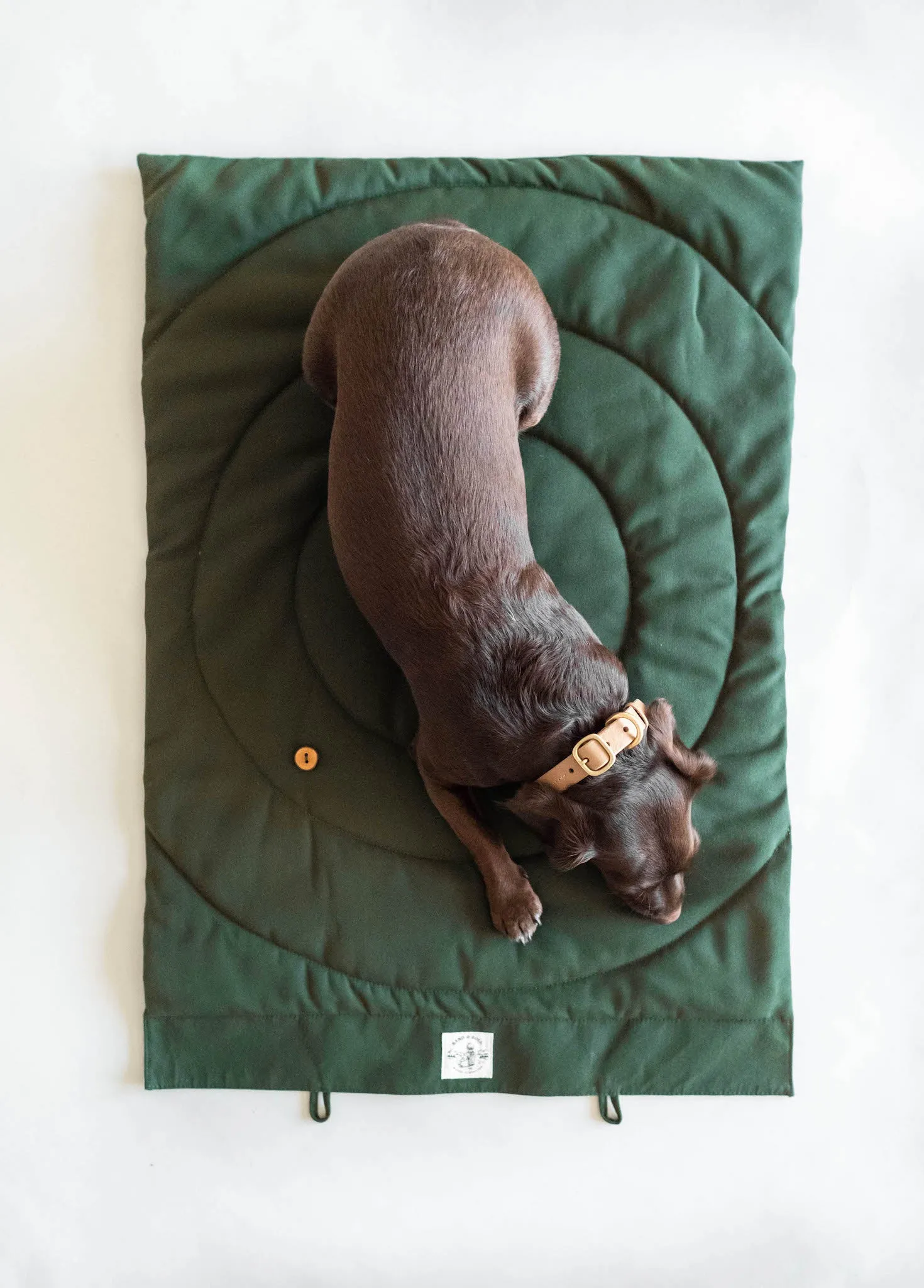 Compass Travel Dog Blanket