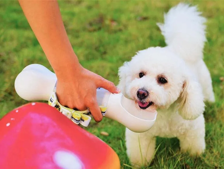 Dog Water Bottle With Storage of Pet Poop Bag