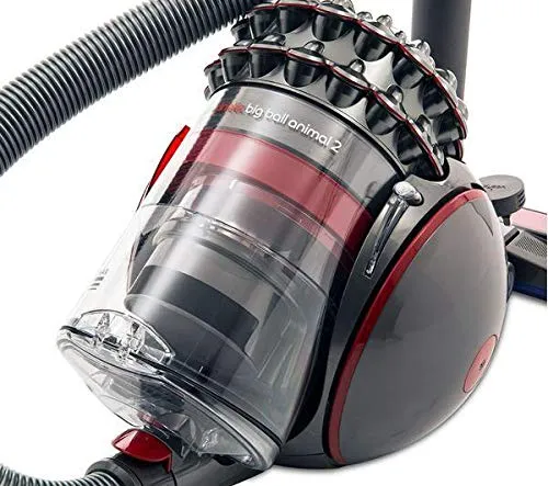 Dyson Big Ball Animal (New)