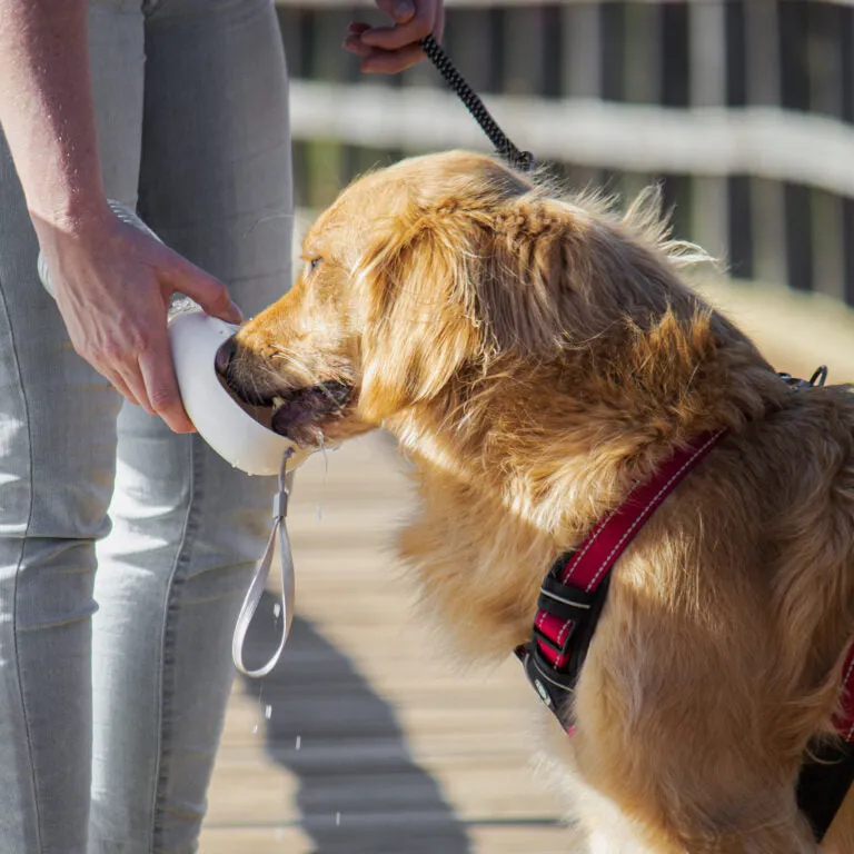 Huskimo Water Bottle with Food Storage 380ml