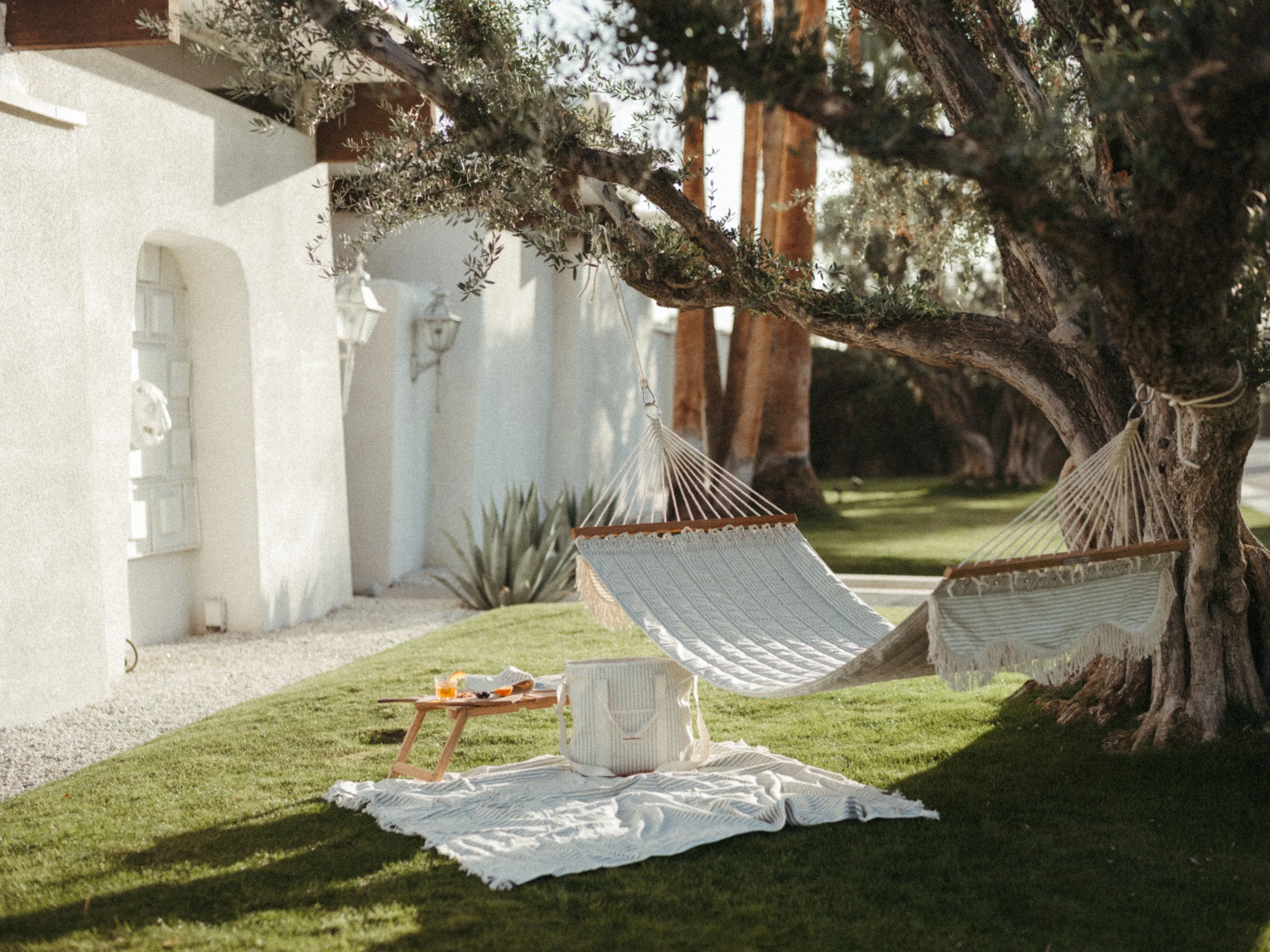 Lauren's Sage Stripe Hammock