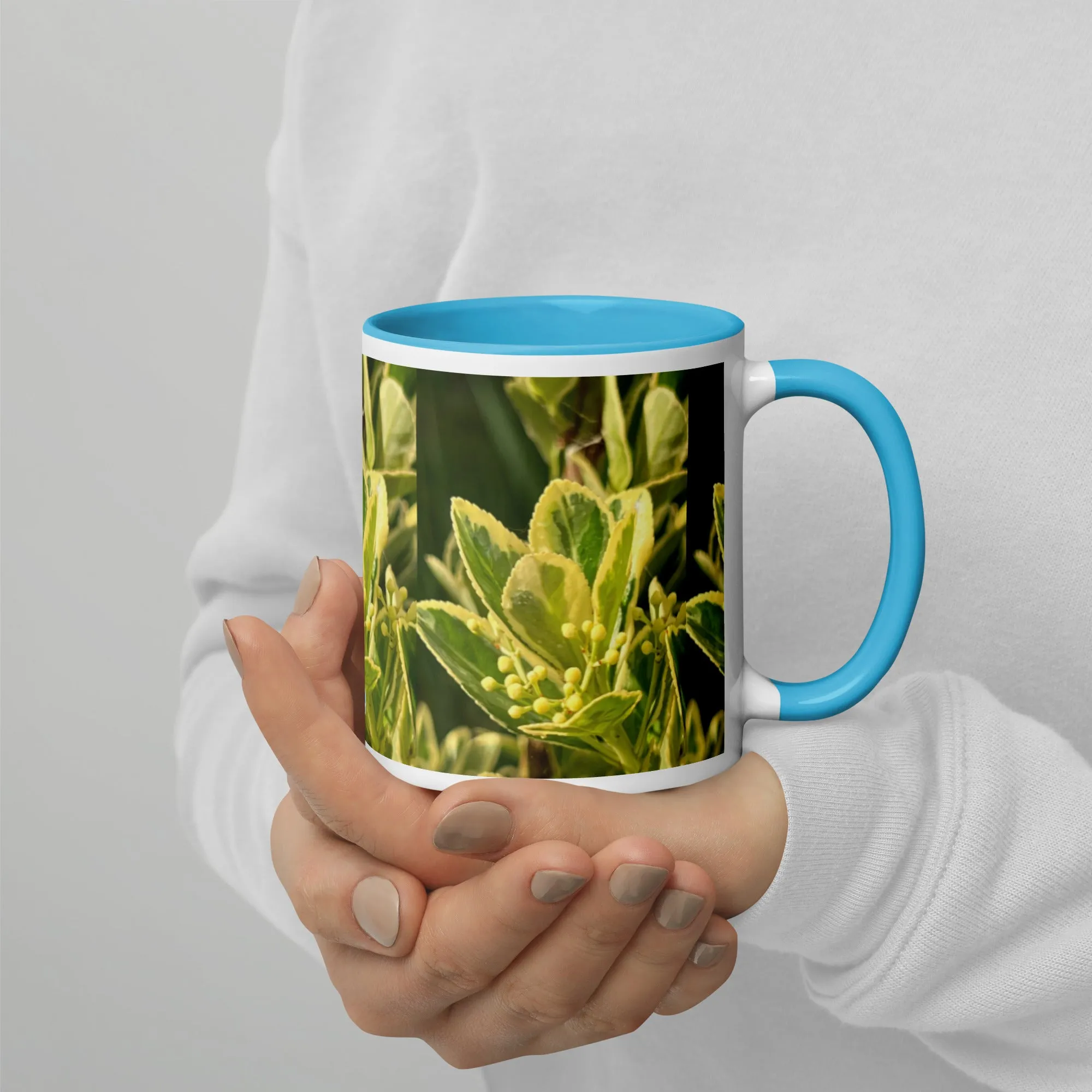 Mug with Color Inside