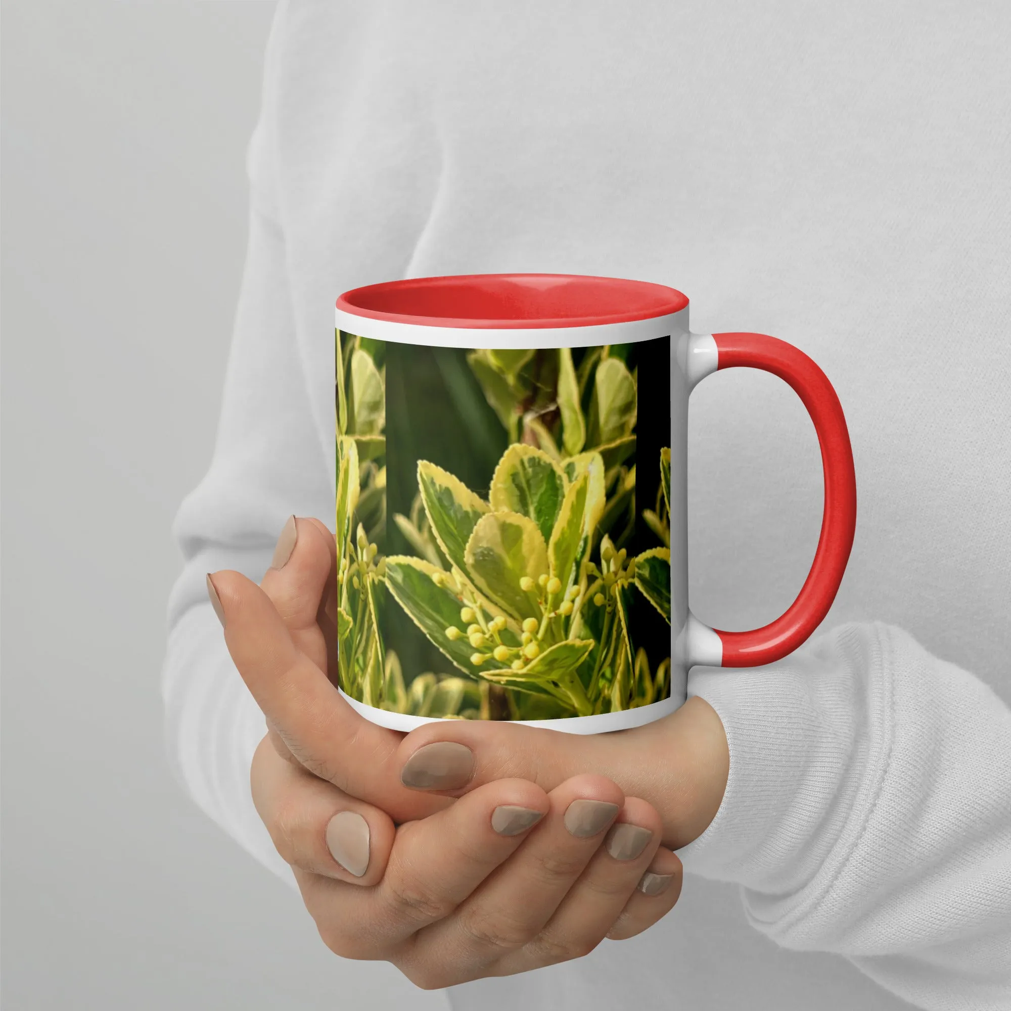 Mug with Color Inside