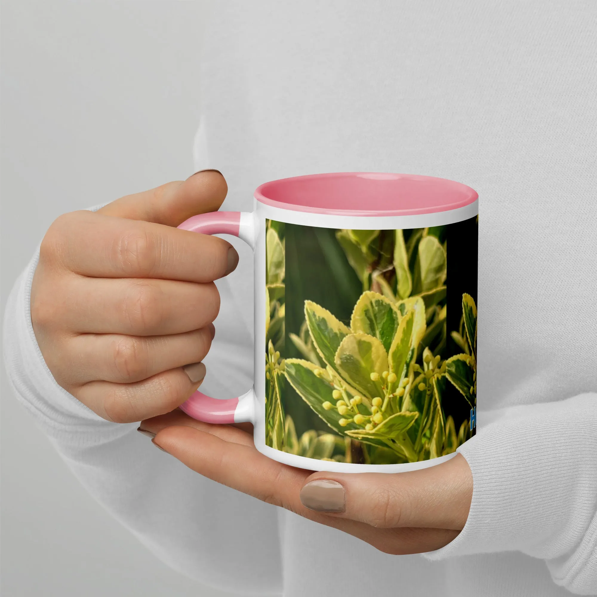 Mug with Color Inside