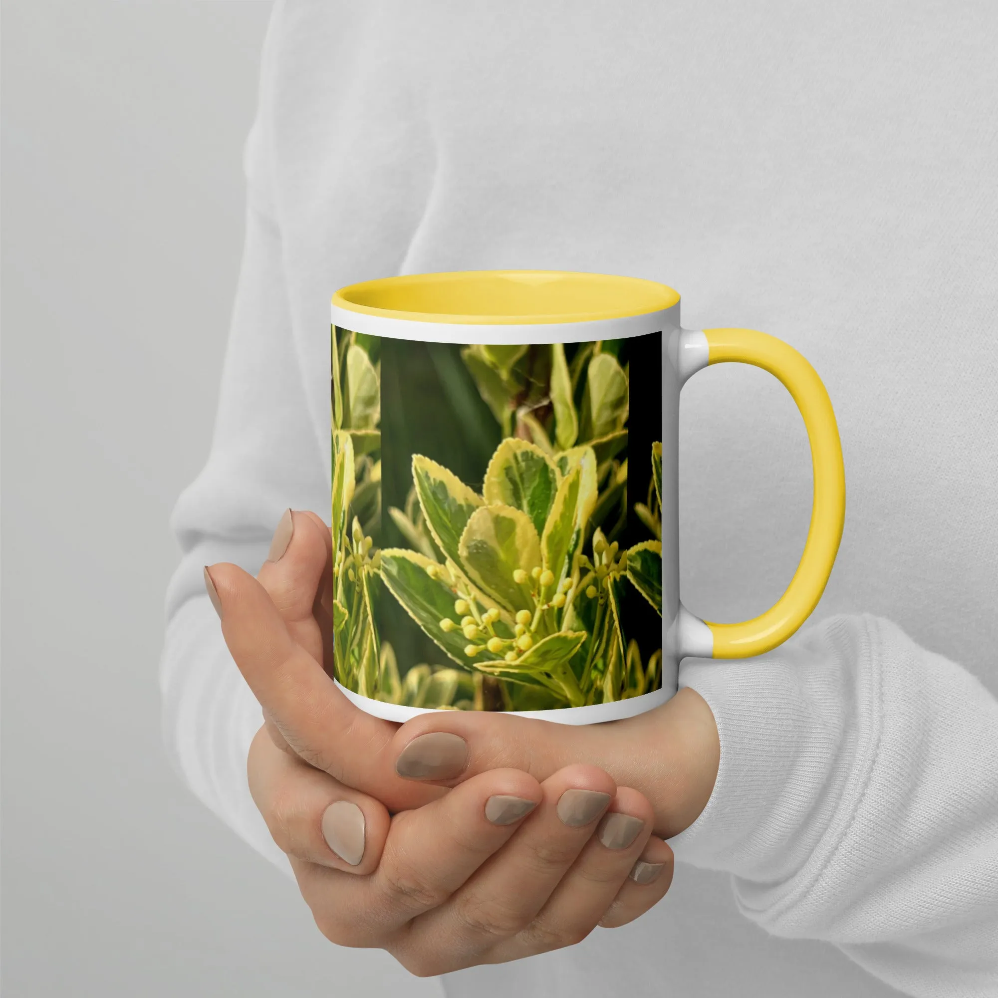 Mug with Color Inside