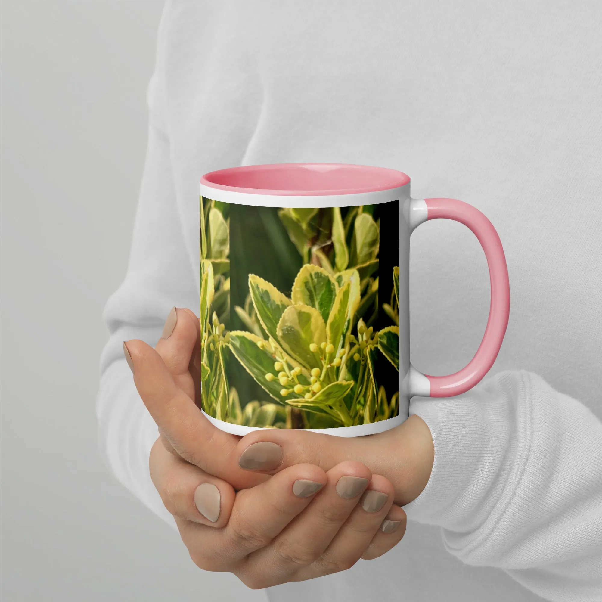 Mug with Color Inside