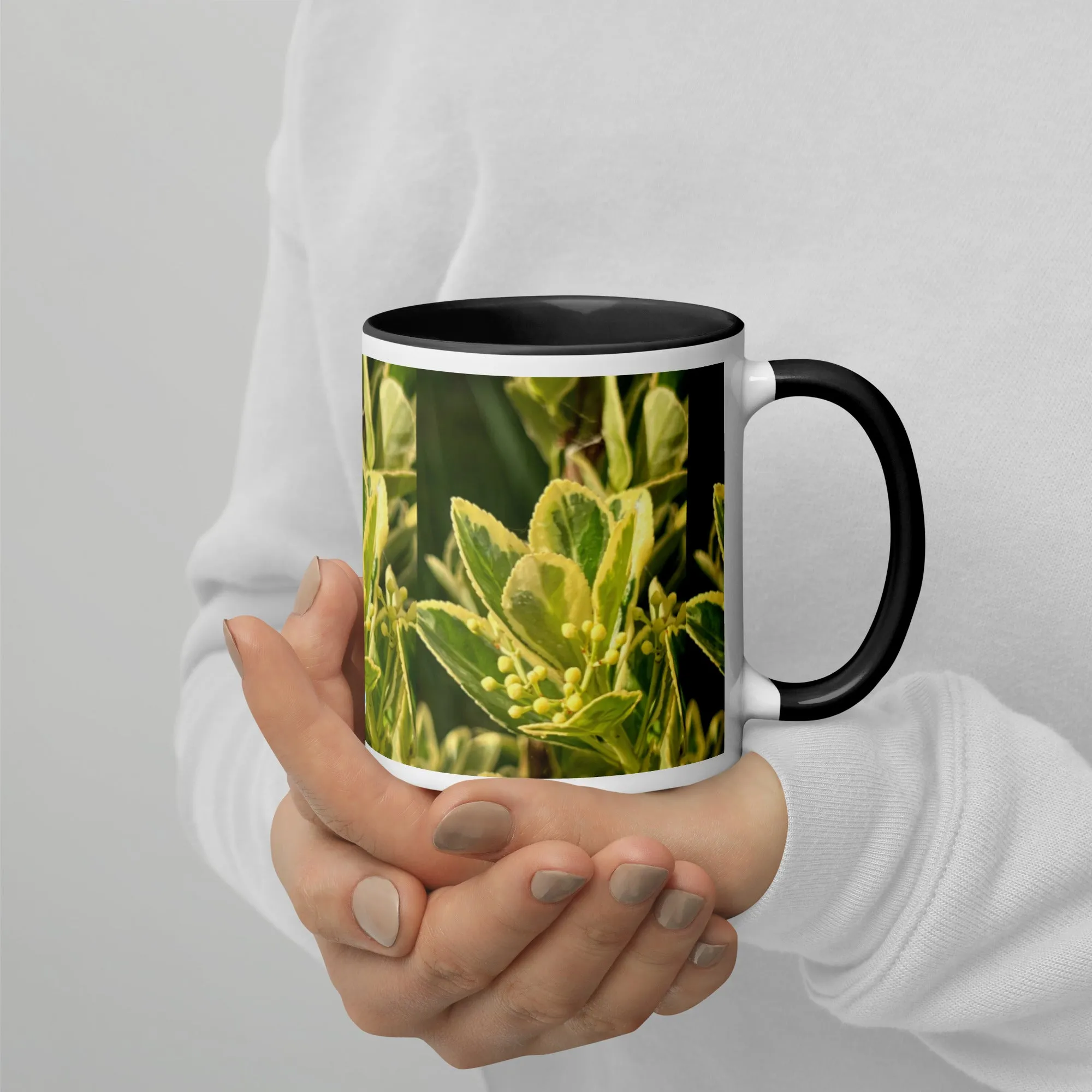 Mug with Color Inside