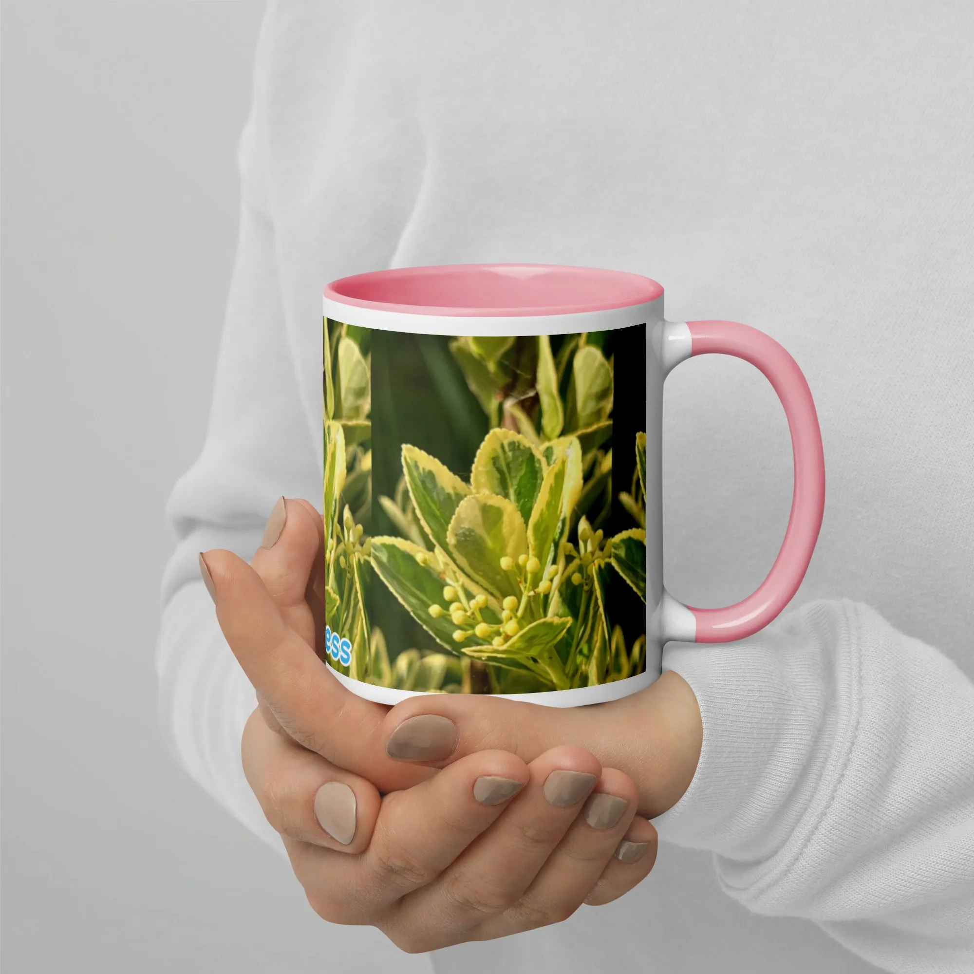 Mug with Color Inside