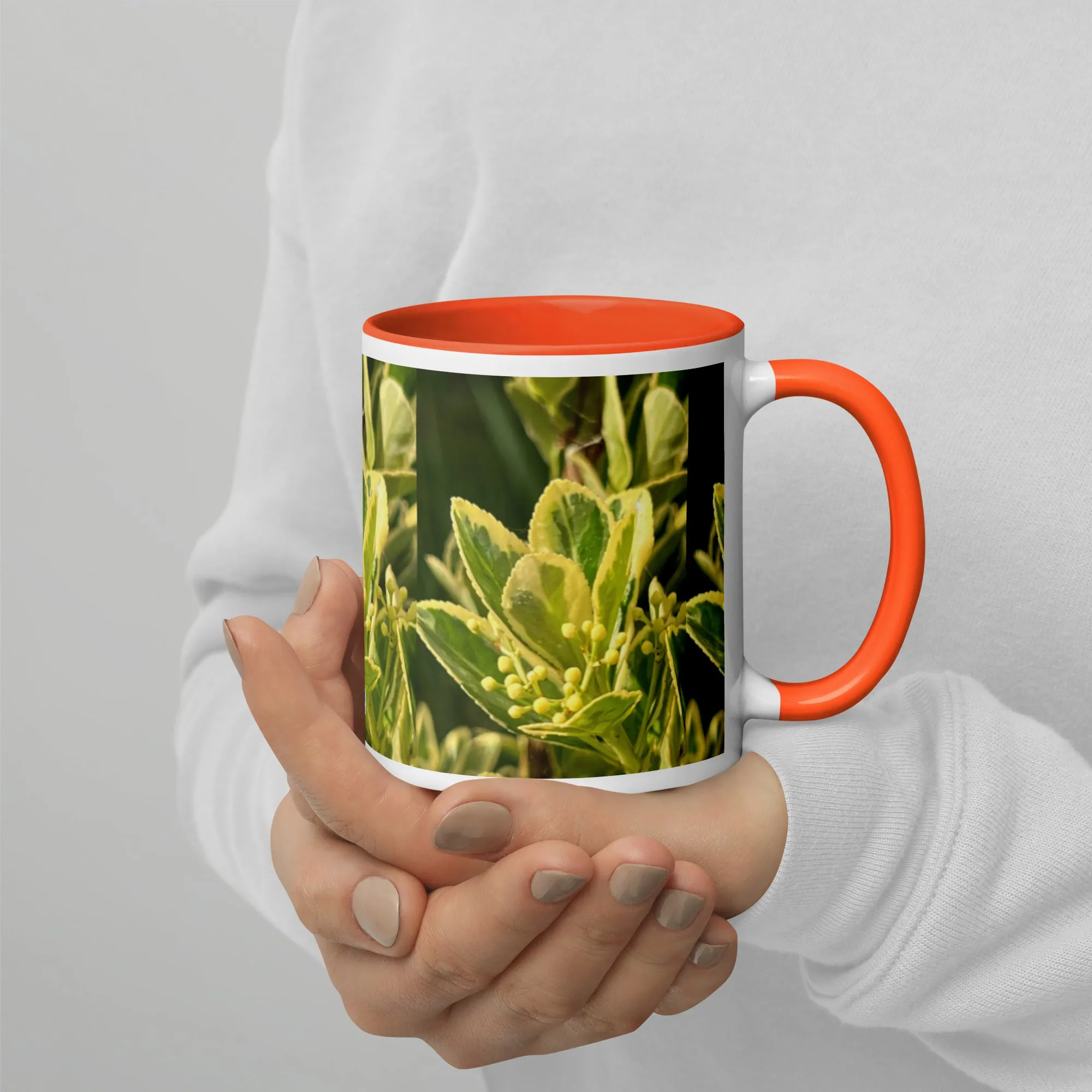 Mug with Color Inside