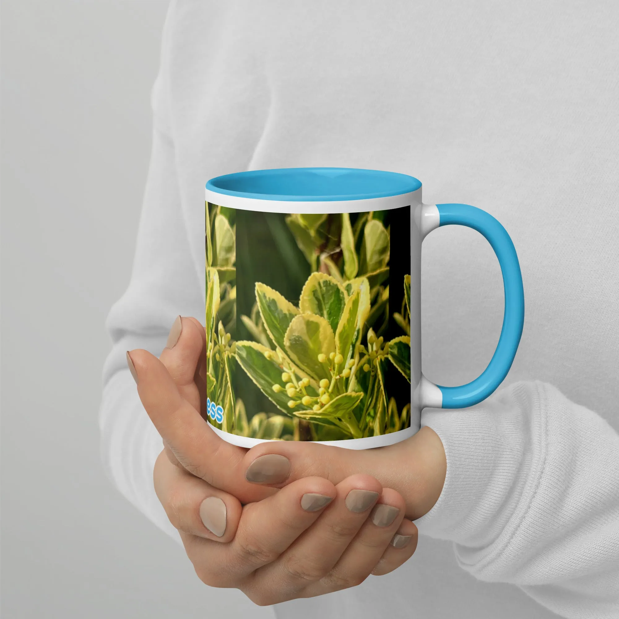 Mug with Color Inside