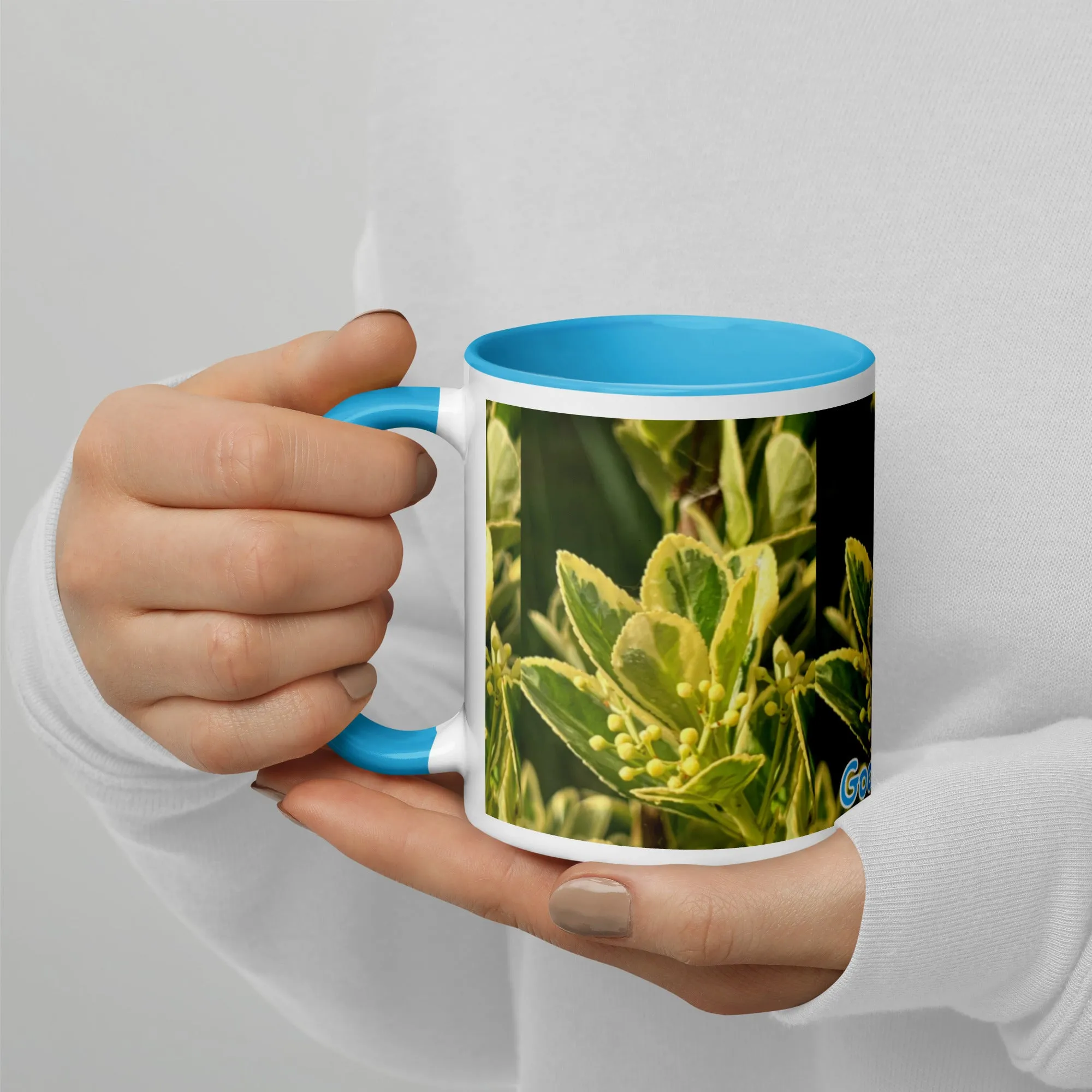 Mug with Color Inside