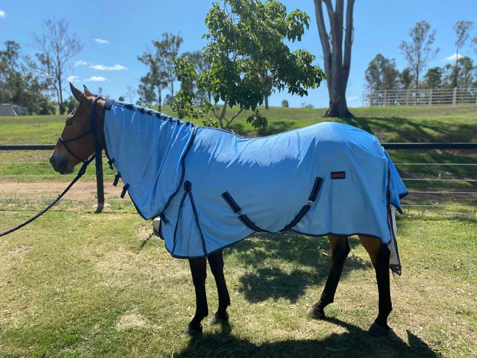 Ruby Rose Fly Mesh Combo Horse Rug // Blue