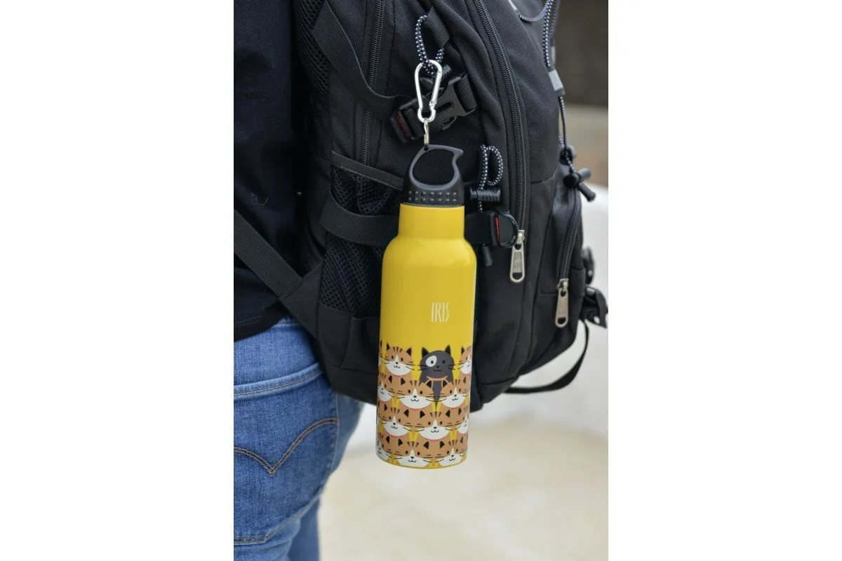 Stainless Steel Thermo Bottle Friends - Various Designs- 500ml