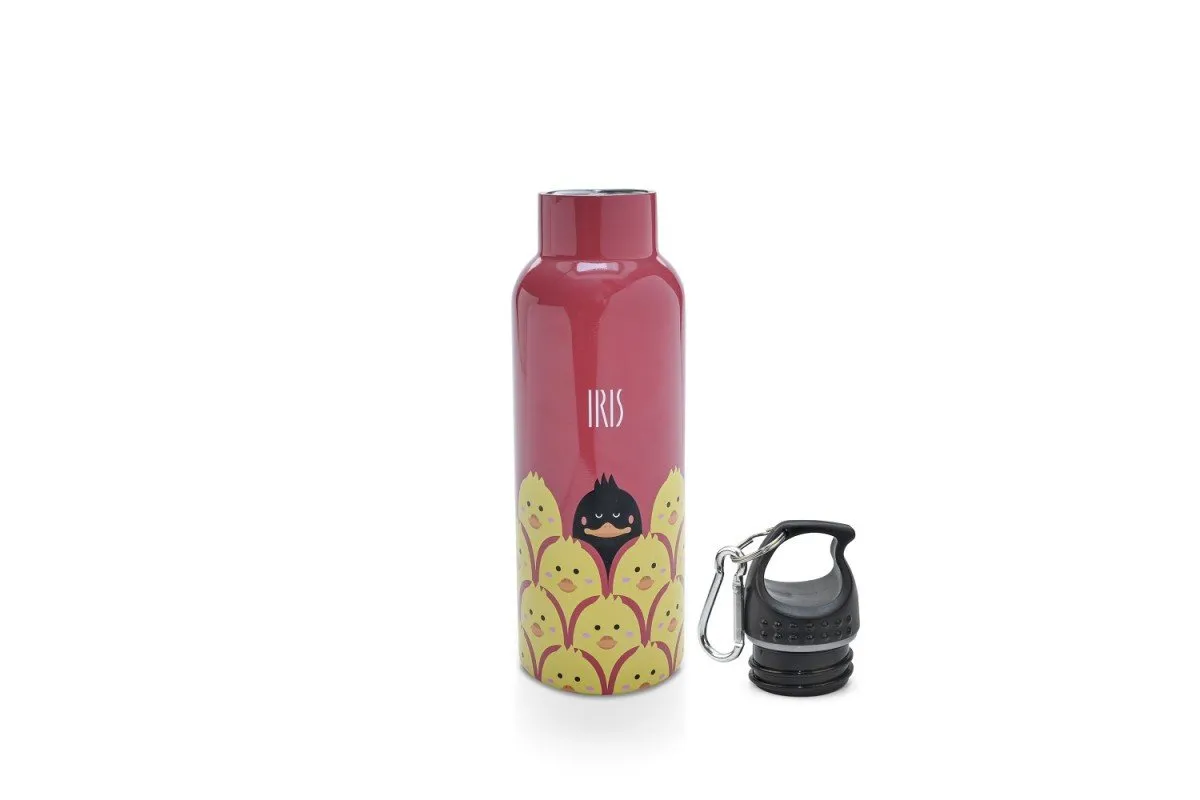 Stainless Steel Thermo Bottle Friends - Various Designs- 500ml