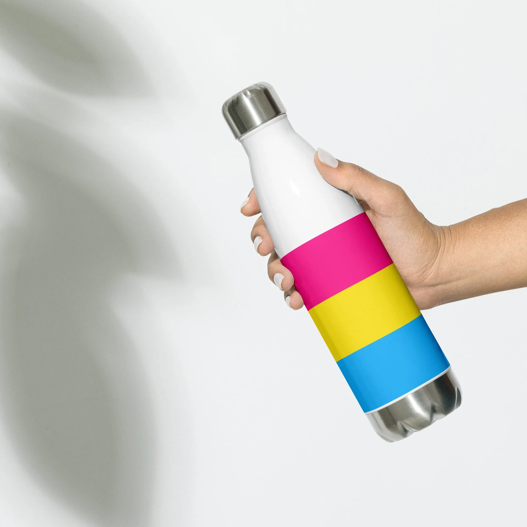 Stainless Steel Water Bottle