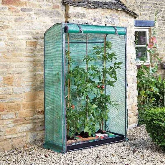 Tomato GroZone Max Single Sided Greenhouse